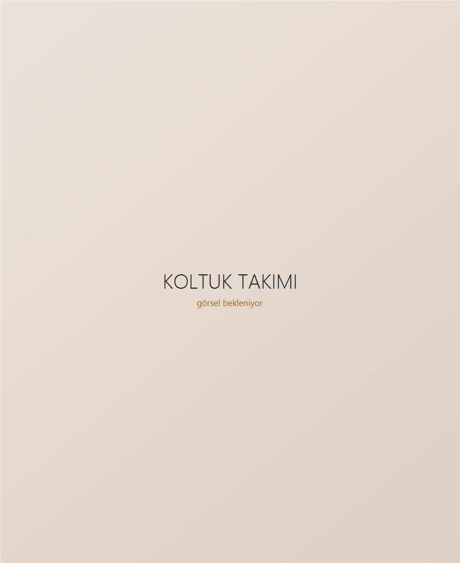 Koltuk Takımı